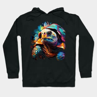 Tortoise Rainbow Hoodie